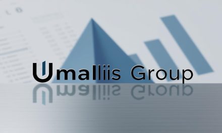 Branding Strategy for Independent Professionals: Stability and Security