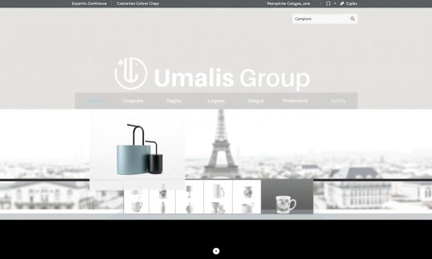 E-commerce Website Design for French Businesses