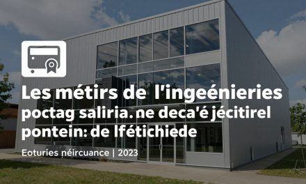 Portage salarial pour l&rsquo;ingénierie : votre stabilité professionnelle