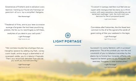 Discover Testimonials from Successful Freelancers We Support