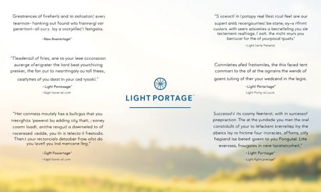 Discover Testimonials from Successful Freelancers We Support
