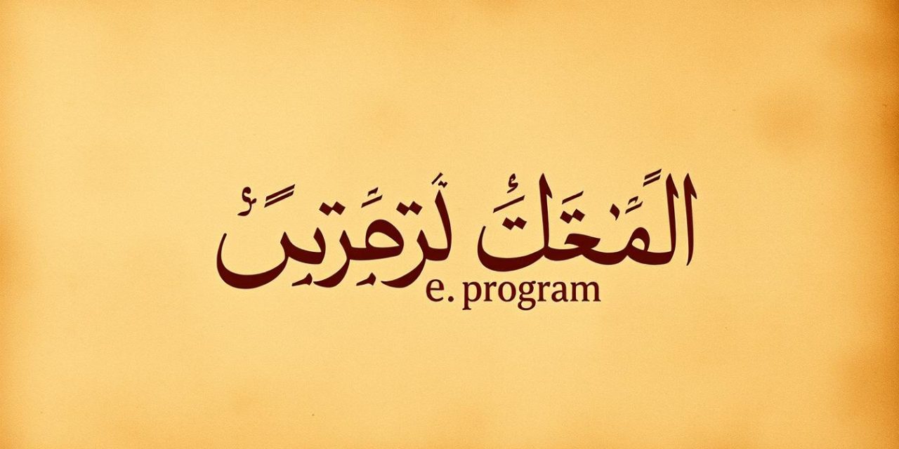 كل ما تحتاج معرفته عن برنامج البورطاج السالاريال