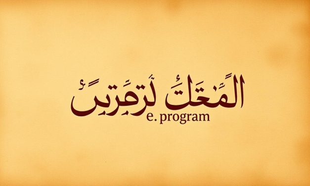 كل ما تحتاج معرفته عن برنامج البورطاج السالاريال