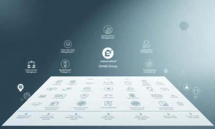 专业支援：独立专业人士职业发展与安全保障